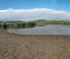 DECLARAN SOLICITUD ADMISIBLE DEL MUNICIPIO QUE BUSCA PROTEGER HUMEDALES DE LA COMUNA