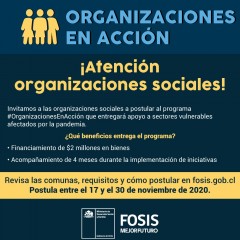 PROGRAMA ORGANIZACIONES EN ACCIÓN DE FOSIS