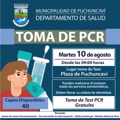 TOMA PCR PUCHUNCAVÍ - MARTES 10 DE AGOSTO