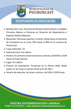 CURSO DE CAPACITACIÓN: SERVICIO ASISTENCIA DOMICILIARIO Y CUIDADOS PRIMARIOS BÁSICOS