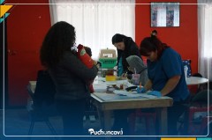 OPERATIVO DE ESTERILIZACIÓN SE REALIZÓ EN LA CHOCOTA