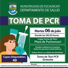 TOMA MUESTRAS PCR EN PUCHUNCAVÍ