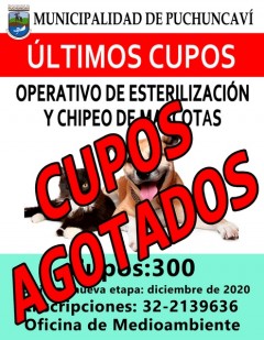 CUPOS AGOTADOS PARA ESTERILIZACIÓN CANINA