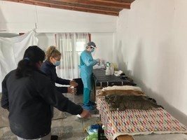 A UNA SEMANA DE SU IMPLEMENTACIÓN CON ÉXITO SE HA DESARROLLADO NUEVO PROGRAMA DE ESTERILIZACIÓN EN NUESTRA COMUNA