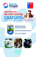 PROGRAMA MASCOTA PROTEGIDA COMENZARÁ ESTA SEMANA EN LA COMUNA