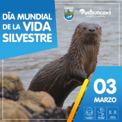 DÍA MUNDIAL DE LA VIDA SILVESTRE