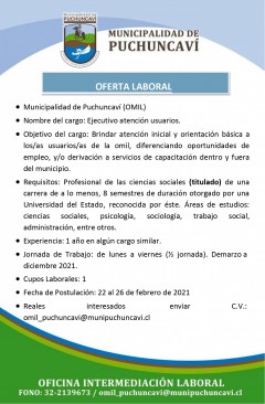 MUNICIPIO DE PUCHUNCAVÍ REQUIERE EJECUTIVO/A ATENCIÓN USUARIOS PARA OMIL