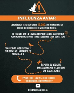 LLAMAN A REPORTAR AVISTAMIENTO DE AVES ENFERMAS O MUERTAS