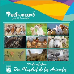 DÍA INTERNACIONAL DE LOS ANIMALES