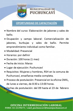 CURSO DE CAPACITACIÓN:  ELABORACIÓN DE JABONES Y SALES DE BAÑO