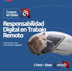 SERVICIO NACIONAL DE CAPACITACIÓN Y EMPLEO, SENCE  PROGRAMA CURSOS EN LÍNEA – NUEVAS ÁREAS Y CURSOS