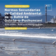 WEBINAR NORMAS SECUNDARIAS DE CALIDAD AMBIENTAL QUINTERO - PUCHUNCAVÍ