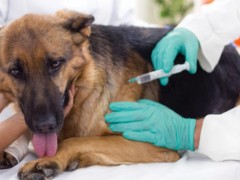 OFICINA TERRITORIAL DE LA SEREMÍA DE SALUD INFORMA