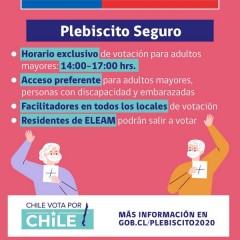 PLEBISCITO NACIONAL 2020