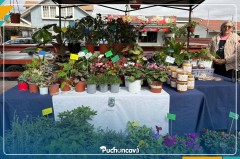 EN EL MARCO DEL DÍA DE LA MADRE, VISITA NUESTRAS FERIAS DE EMPRENDEDORES