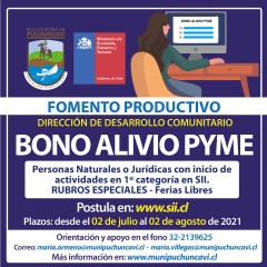 BONO ALIVIO PYME:  INFÓRMATE Y POSTULA