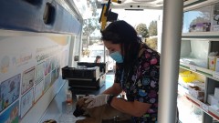 VETERINARIA MÓVIL REALIZA SU PRIMERA ATENCIÓN A CACHORROS EN SITUACIÓN DE CALLE