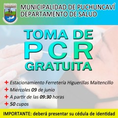 TOMA DE MUESTRAS PCR EN MAITENCILLO