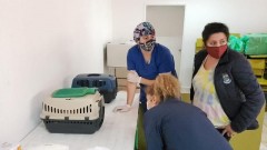 FINALIZA PRIMERA ETAPA DE ESTERILIZACIÓN DE MASCOTAS CON MÁS DE 1200 ATENCIONES