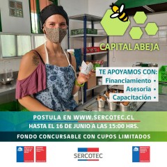 SERCOTEC LLAMA A POSTULAR AL FONDO CAPITAL ABEJA EMPRENDE REGIÓN DE VALPARAÍSO