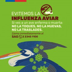 INFLUENZA AVIAR