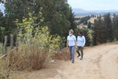 MUNICIPIO PIDIÓ A MINISTERIO DE MEDIOAMBIENTE PROTECCIÓN DE HUMEDALES DE LA COMUNA