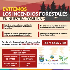 EVITEMOS LOS INCENDIOS FORESTALES EN NUESTRA COMUNA